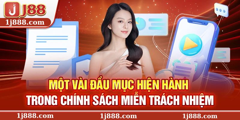 Một vài đầu mục hiện hành trong chính sách miễn trách nhiệm