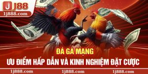 Đá Gà Mạng – Ưu Điểm Hấp Dẫn Và Kinh Nghiệm Đặt Cược