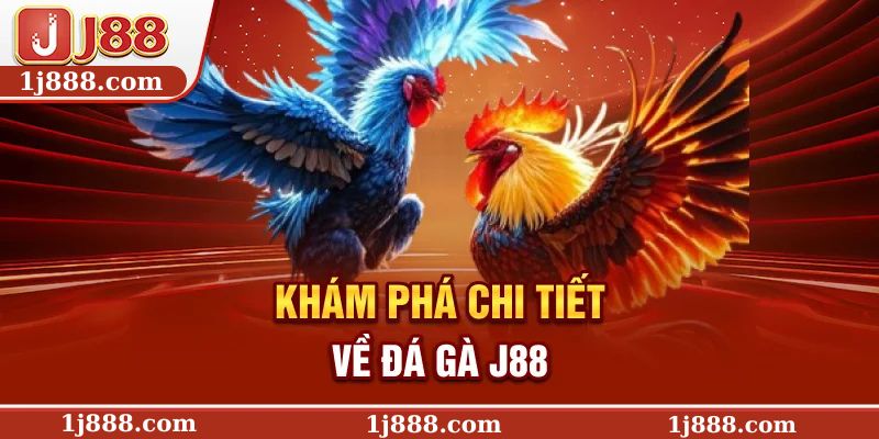 Khám phá chi tiết về đá gà J88
