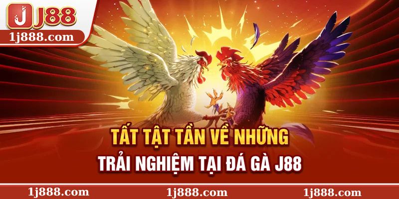Tất tật tần về những trải nghiệm tại đá gà J88