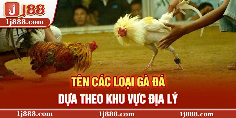 Tên các loại gà đá dựa theo khu vực địa lý