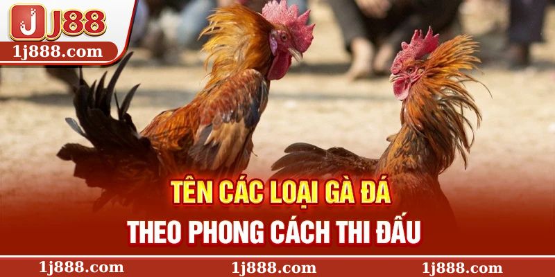 Tên các loại gà đá theo phong cách thi đấu