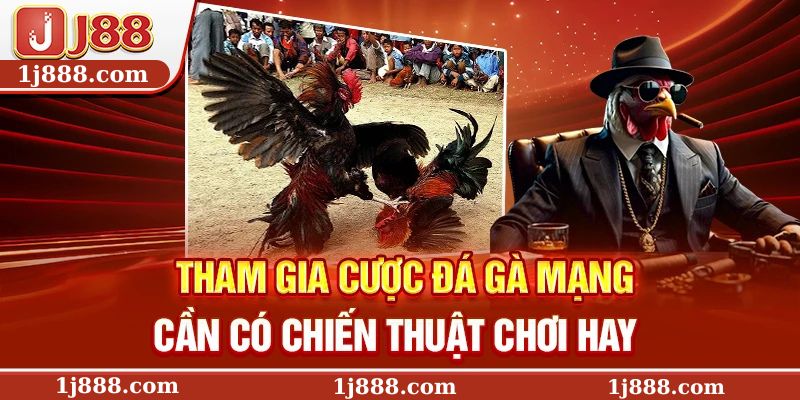 Tham gia cược đá gà mạng cần có chiến thuật chơi hay