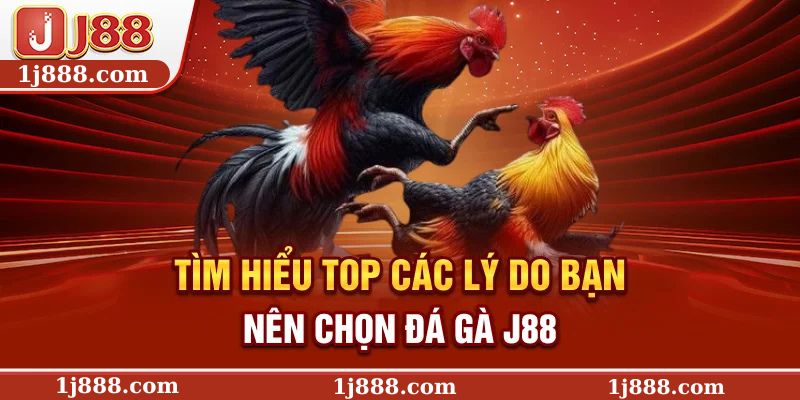 Tìm hiểu top các lý do bạn nên chọn đá gà J88